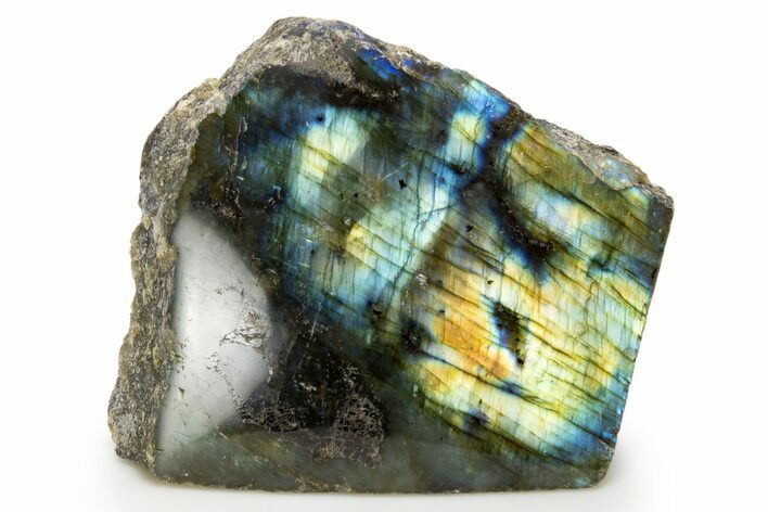 Single Side Polished Labradorite Section - Madagascar #324652